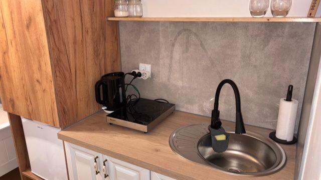 Apartament Boho Stare Miasto Nowy Sącz Eksteriør billede