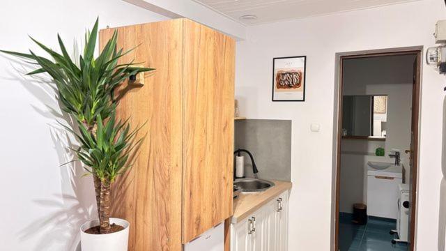 Apartament Boho Stare Miasto Nowy Sącz Eksteriør billede