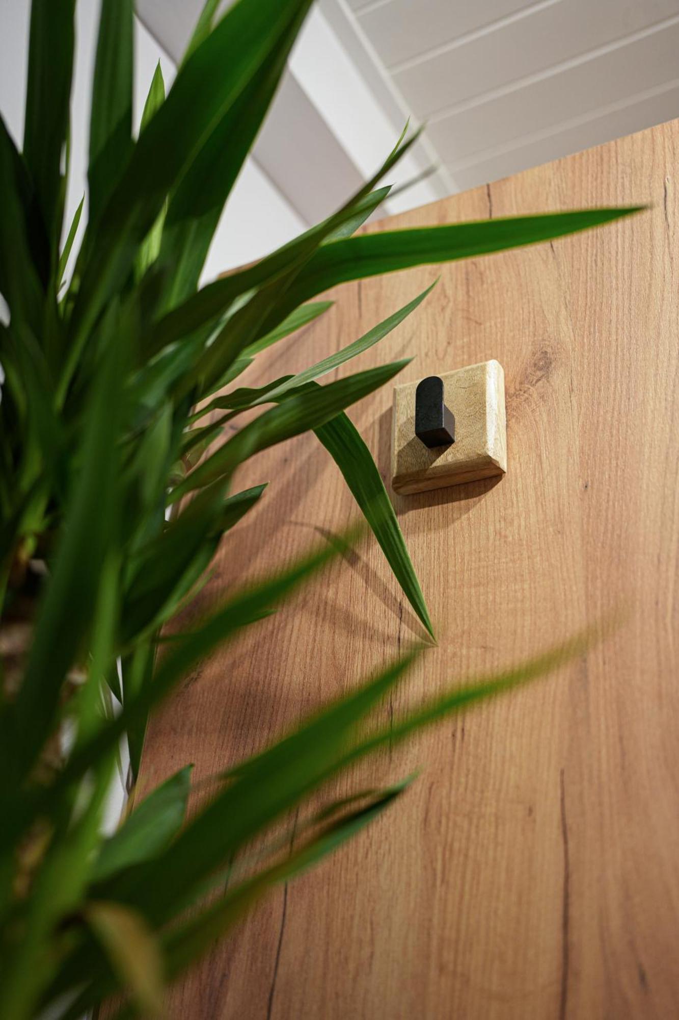 Apartament Boho Stare Miasto Nowy Sącz Eksteriør billede